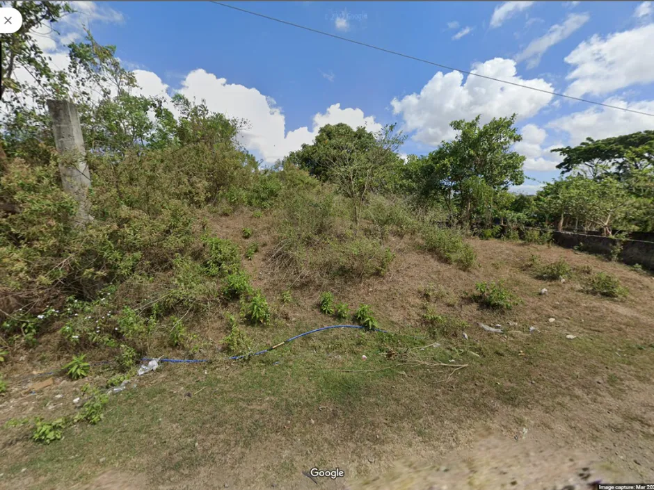 Property 23